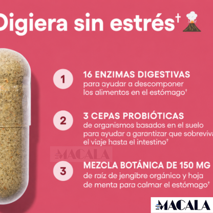 Digestive Enzymes- Ayuda digestiva 60 CAPSULAS